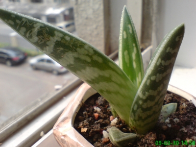 DSC00081.JPG