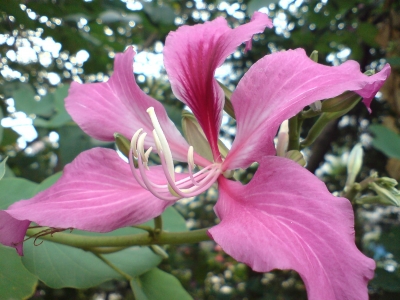 DSC02111.JPG