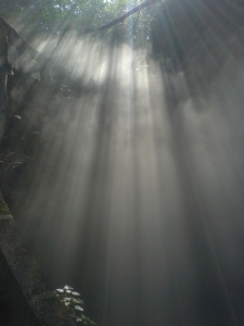 0212094939.JPG
