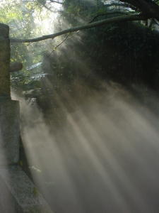 0212094833.JPG
