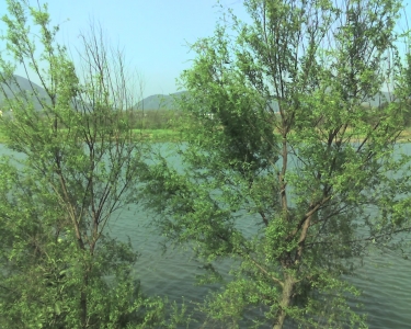 img017.jpg