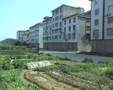 img016.jpg
