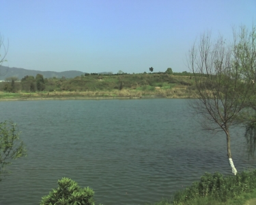 img018.jpg