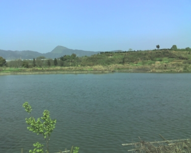 img019.jpg