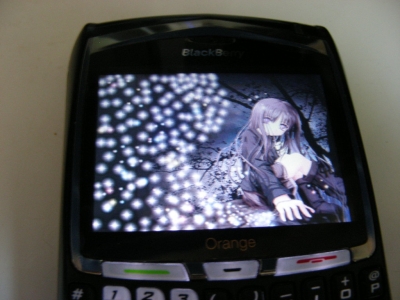 DSCN0821.JPG