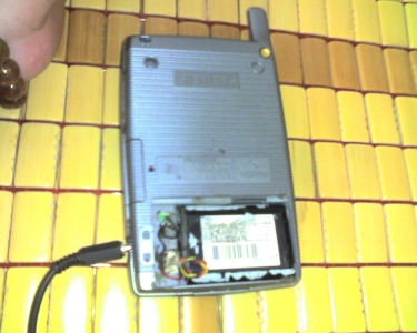 img486.jpg