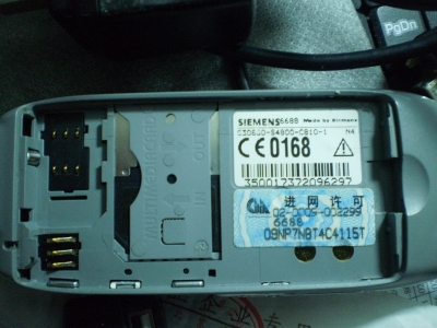 P6190021_СС.JPG