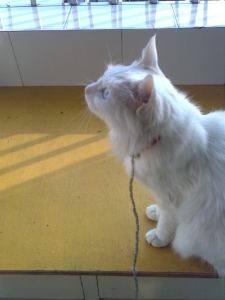 Foto_0108.jpg