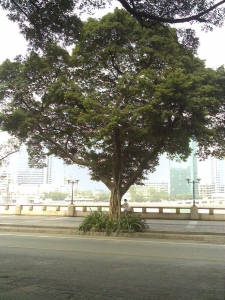 Foto_0018.jpg