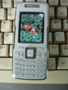 С ת P1060514.jpg