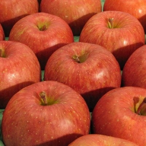 apple.jpg