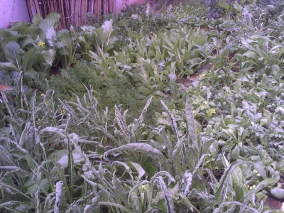 Photo_0117.jpg