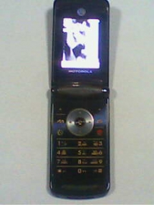 IMG0471A.jpg