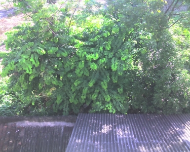img075.jpg