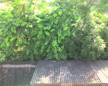 img075_01.jpg
