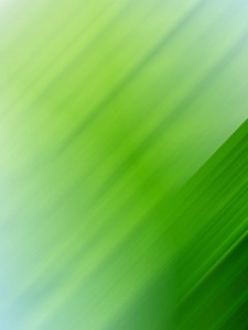 color (17).jpg