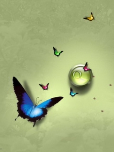 color (26).jpg