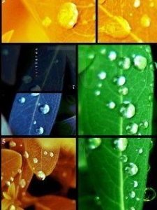 color (27).JPG
