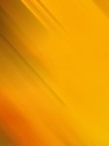 color (10).jpg