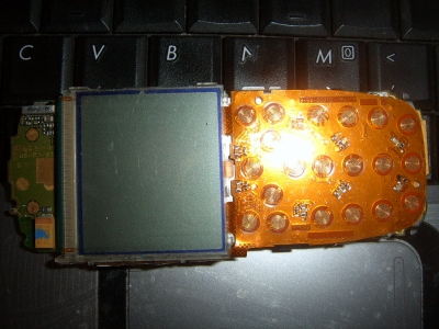 SUC56431.JPG