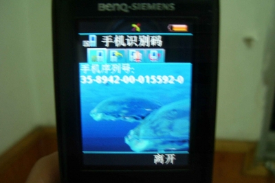 100_4007.JPG