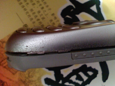 P2501100010.jpg