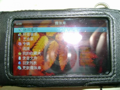С DSC00061.JPG