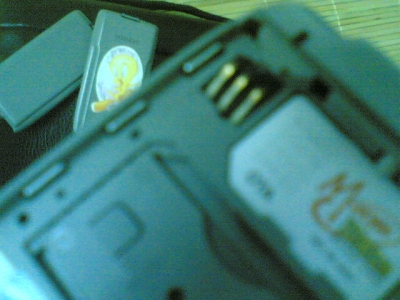20091129(003).jpg