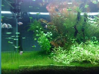 20100428069.jpg