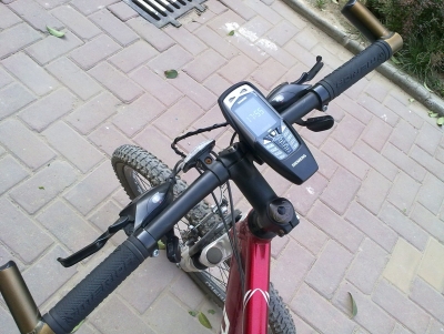 20100502449-1.jpg