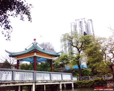 100210_151446.jpg