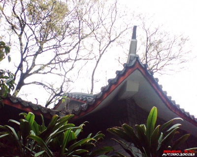 100210_154636.jpg