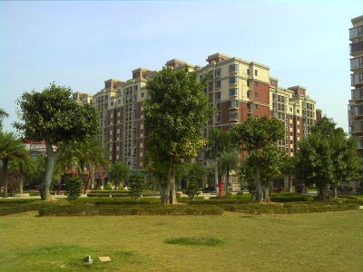 2010-02-19 13.08.jpg