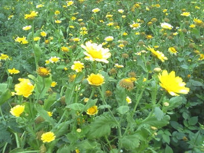 2010-03-04 10.49.jpg