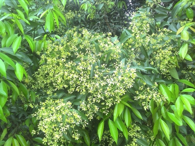 2010-03-04 10.21.jpg