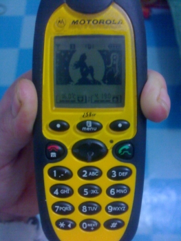 00738.jpg