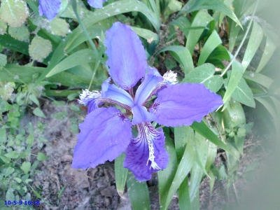 Image_00010.jpg