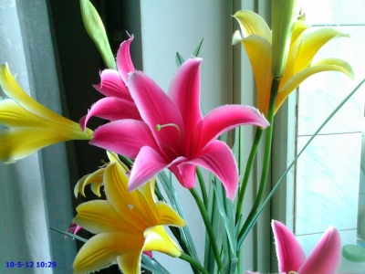 Image_00023.jpg