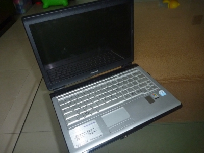 P1010194.jpg