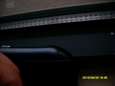 SL377444.JPG