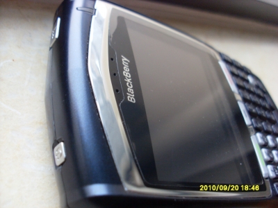 SL377446.JPG