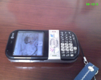 Ƭ_120510_007.jpg