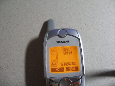 PB171807.JPG