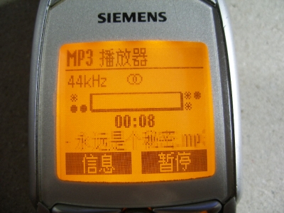 PB171817.JPG