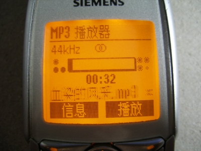PB171816.JPG