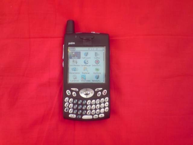 palm650-22.jpg