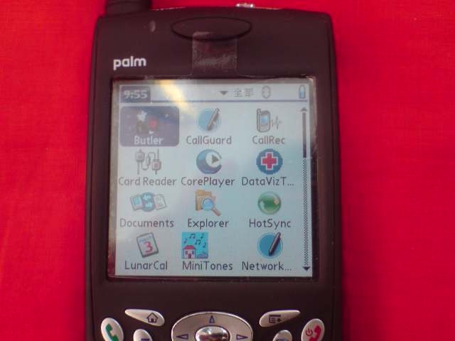 palm650-55.jpg